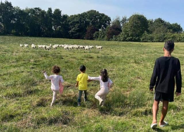 Böyle taşınma sebebi görülmedi! Ronaldo, koyunlar yüzünden yeni bir yalı satın aldı