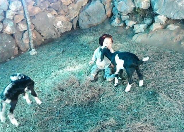 Müslüme Yağal'ın ölümünde çarpıcı ayrıntı! Ailesi tam tersi bölgeyi göstermiş