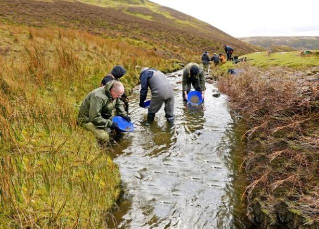 Nehirde sırt üstü yüzen adamın eline dünyanın en büyük altın parçalarından biri çarptı