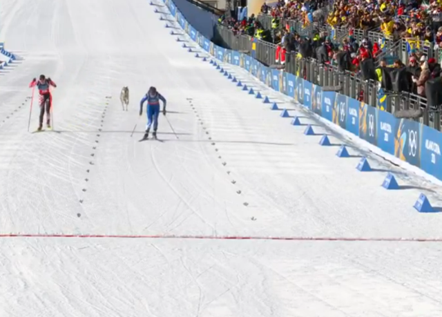 Dev organizasyonun önüne geçen görüntü