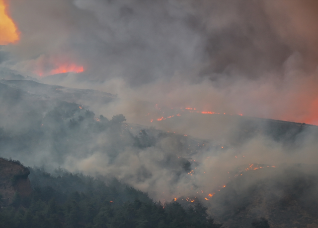 Çanakkale'de yangın! Alevler Gelibolu'dan Eceabat'a sıçradı, 5 köy tahliye edildi
