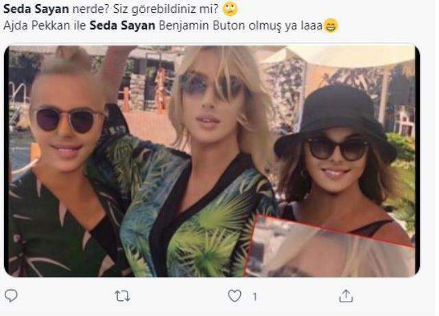 Seda Sayan'ın paylaştığı fotoşoplu fotoğrafla takipçilerini güldürdü