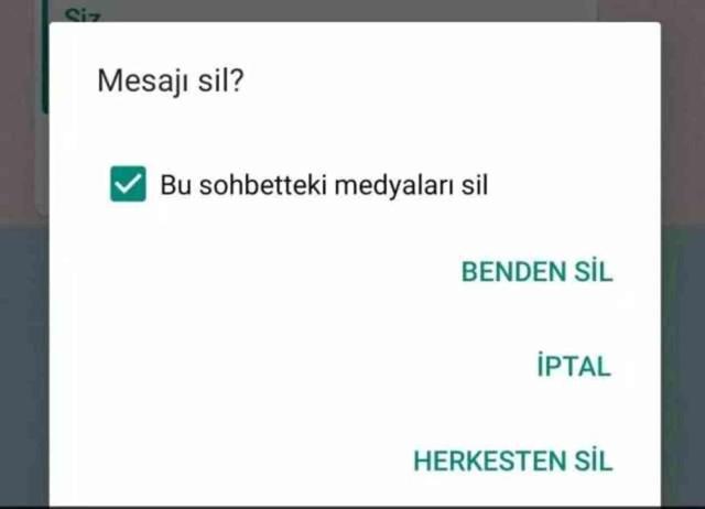 WhatsApp'a yeni bir özellik ekleniyor: 'Benden sil' işlemi artık geri alınabilecek