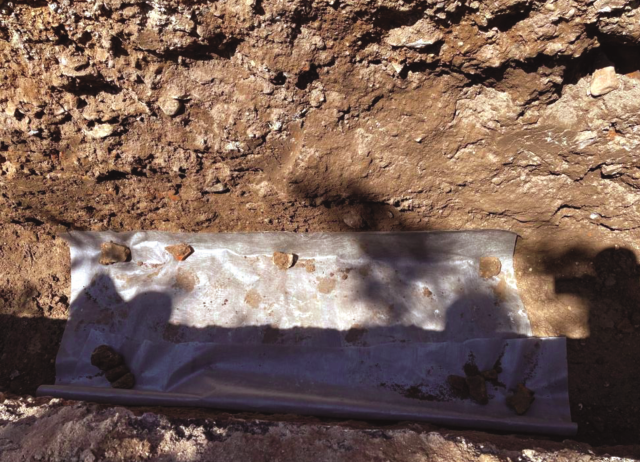 Kahramanmaraş'ta 1500 yıllık taban mozaiği bulundu