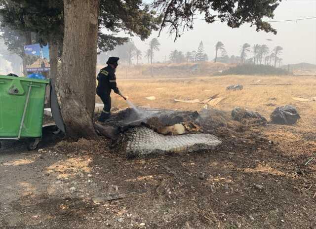 Yunanistan'da Devam Eden Orman Yangınları Kontrol Altına Alınamıyor
