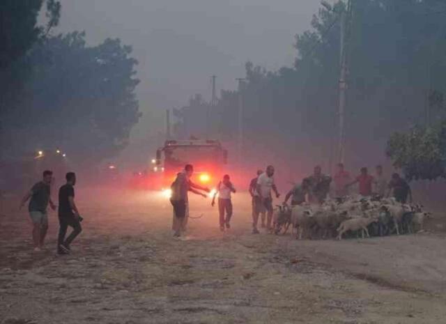 İzmir'de alevler saatlerdir söndürülemiyor! 1 mahallenin tahliyesine başlandı