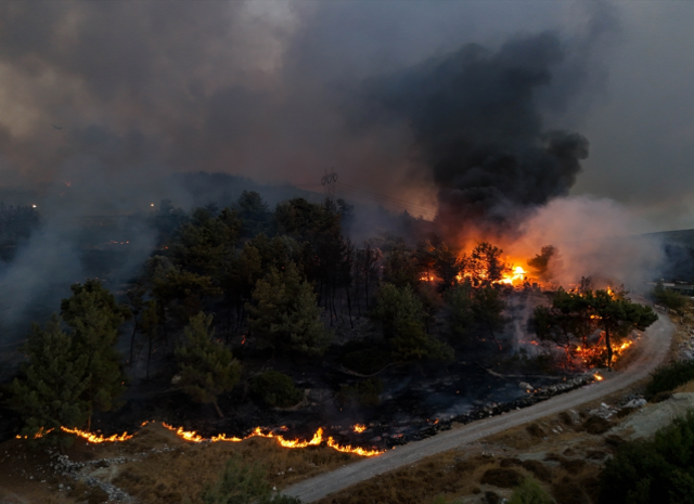 İzmir'in Buca ve Aliağa ilçelerinde orman yangını