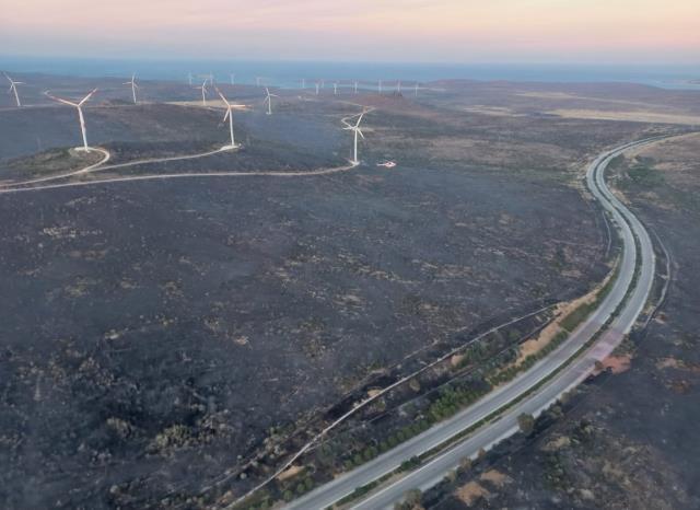 Çeşme'deki yangınla ilgili 7 işçi gözaltında! İlk ifadelerinde hatalarını kabul ettiler