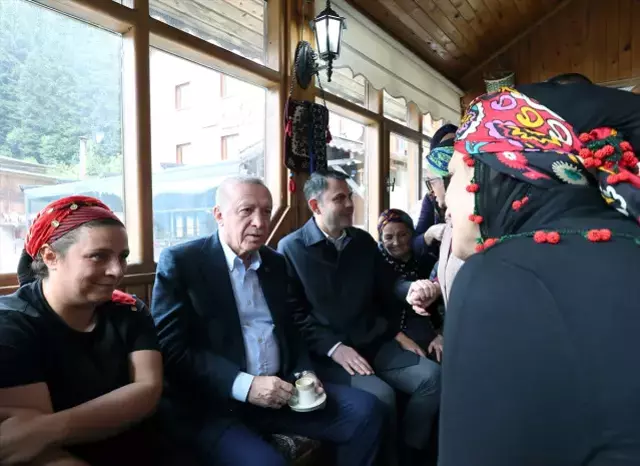 Bölgedeki inceleme çalışmaları