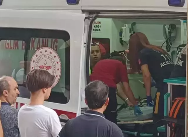 Alkollü sürücü ehliyetini isteyen polise yasaklı köpeğini saldırttı