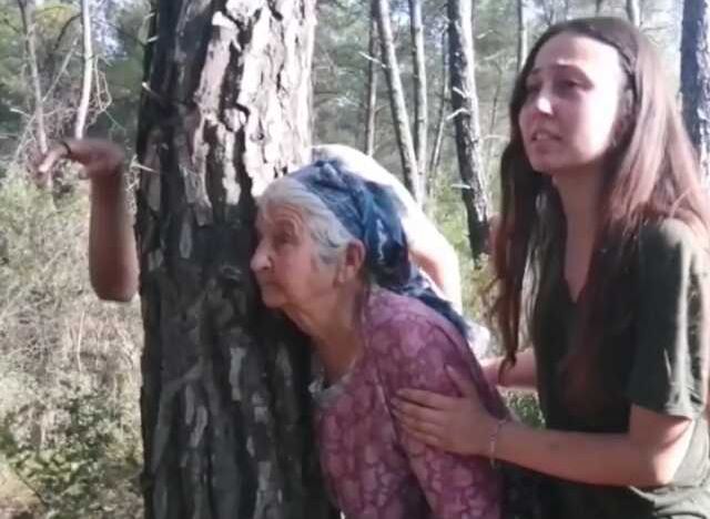 Akbelen'e maden sahası yaptırmamak için direniyorlar! Ağaca sarılan Zehra Nine sembol oldu