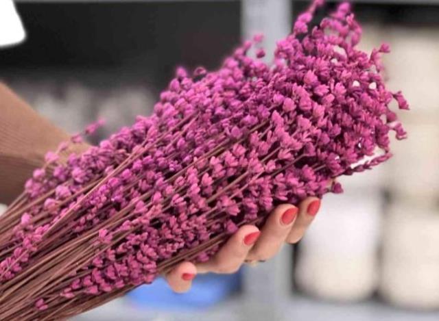 Gülün tanesi 30 liraya çıkınca, Sevgililer Günü için lavanta alternatif oldu