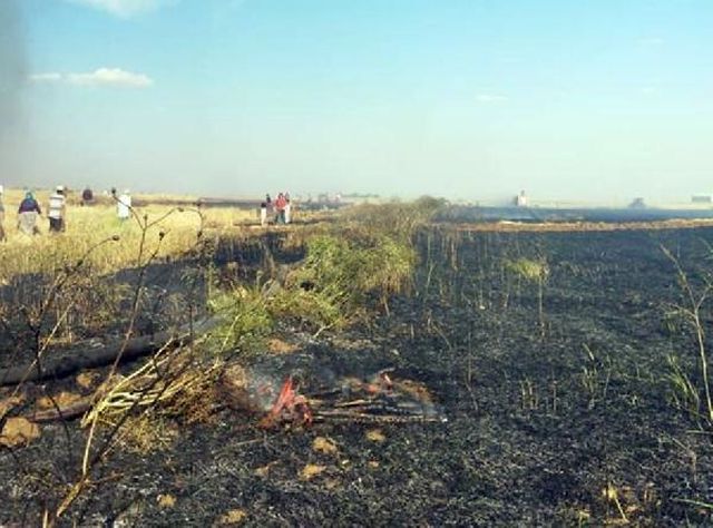 Buğday tarlaları planlı mı yakılıyor? Sosyal medyada paylaşılan düzenek kafa karıştırdı