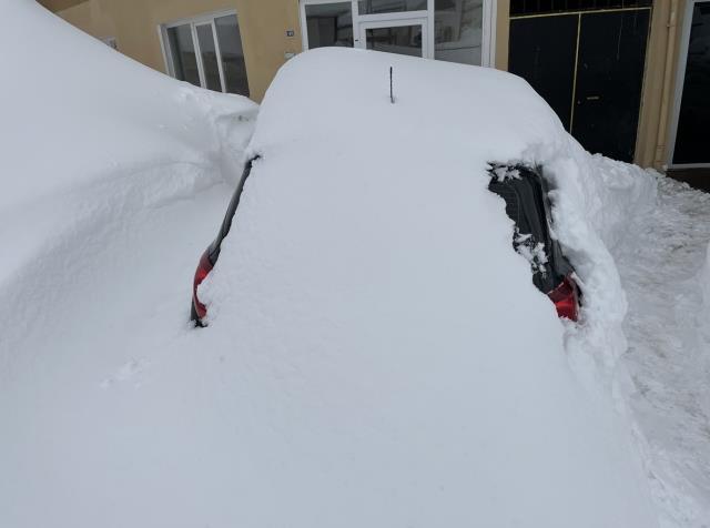 Fotoğrafı Ordu Büyükşehir Belediyesi paylaştı! Dışarı çıkmak isteyen vatandaş, kardan duvarla karşılaştı