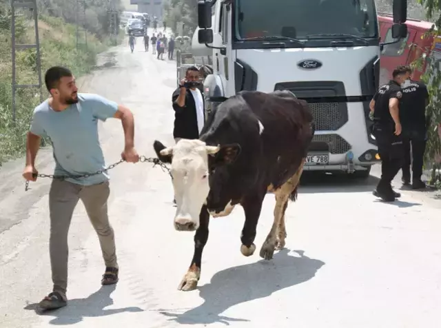 Hatay da yangın felaketini yaşıyor! Vatandaşların çığlıkları kulakları sağır etti
