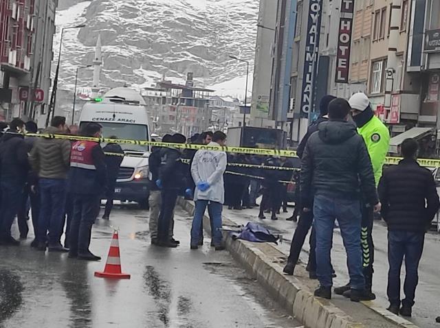 Van'da otomobilde ve aracın yakınında 2 ceset bulundu! Birinin kulağı da kesilmiş