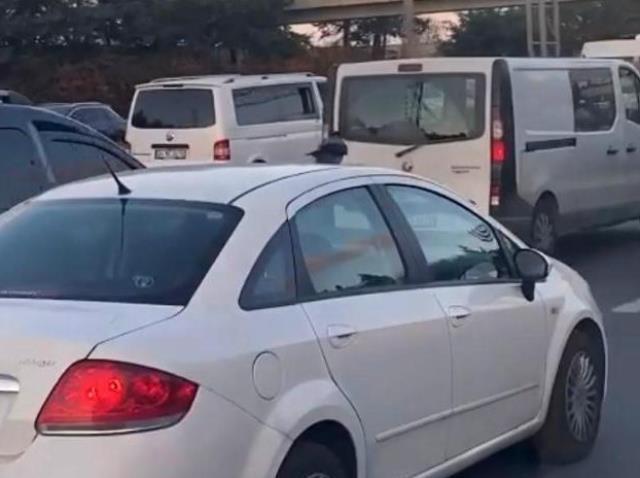 Araç üzerinde yolculuk eden karga! Trafikte bu ana tanıklık edenler telefonlarına sarıldı