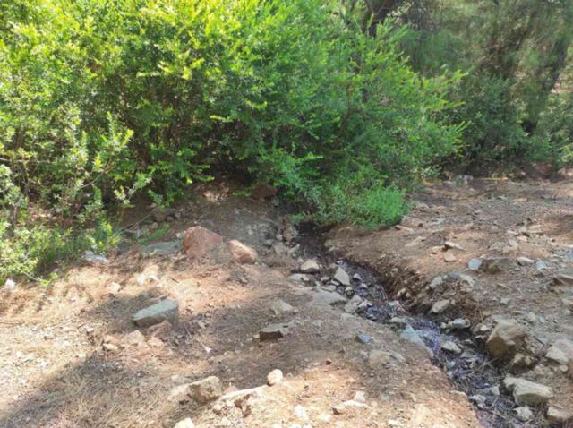Ormanlık alanda 1 günlük bebek bulundu
