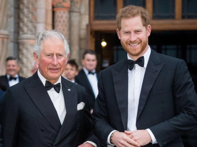 Prens Harry, ölen annesi Prenses Diana'nın soyadını almak istiyor