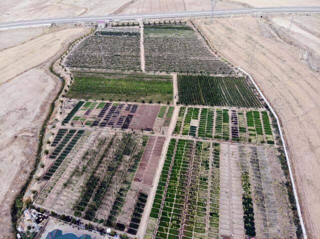'Burada arpa bile yetişmez' denilmesine rağmen kurdukları bostanda tonlarca sebze meyve üretiyorlar