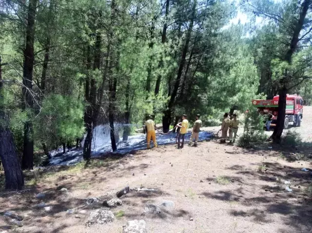 Ormanı yaktıktan sonra kaçmaya çalışan şahıs, jandarma tarafından yakalandı
