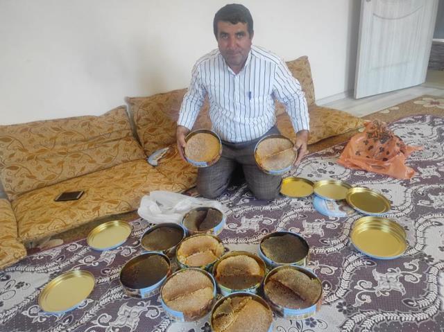 Paraya para demiyor! Ağaç kovuğundan çıkardığını balın kilosunu bin 500 liradan satıyor