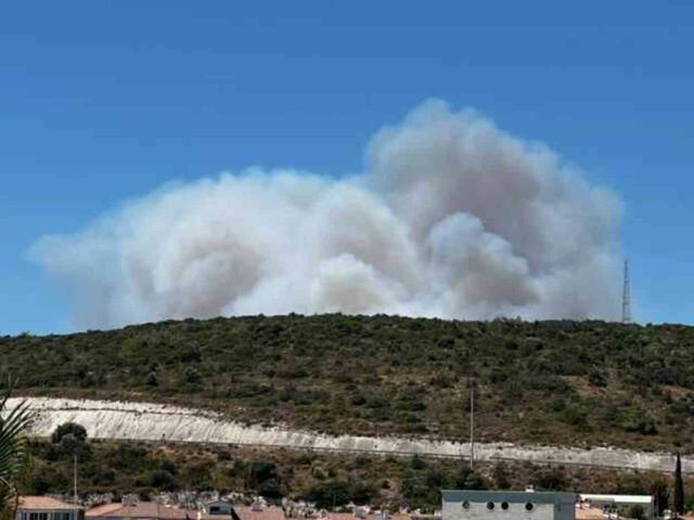 İzmir'in Çeşme ilçesindeki orman yangınında 3 kişi hayatını kaybetti