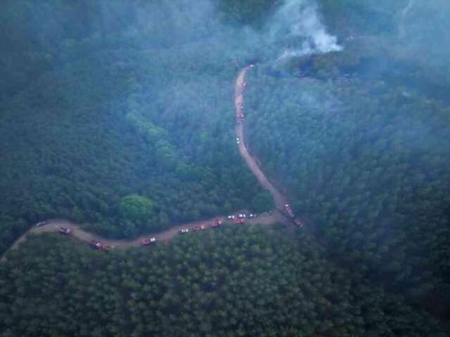 İzmir, Balıkesir ve Adıyaman'da yangın alarmı! İtfaiye ekipleri teyakkuza geçti