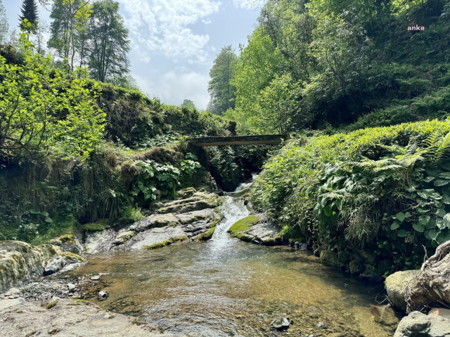 Rize'de Derenin Kırmızıya Dönmesi Halkta Endişe Yarattı