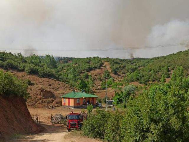 Bingöl'de 14 gün sonra aynı yerde orman yangını