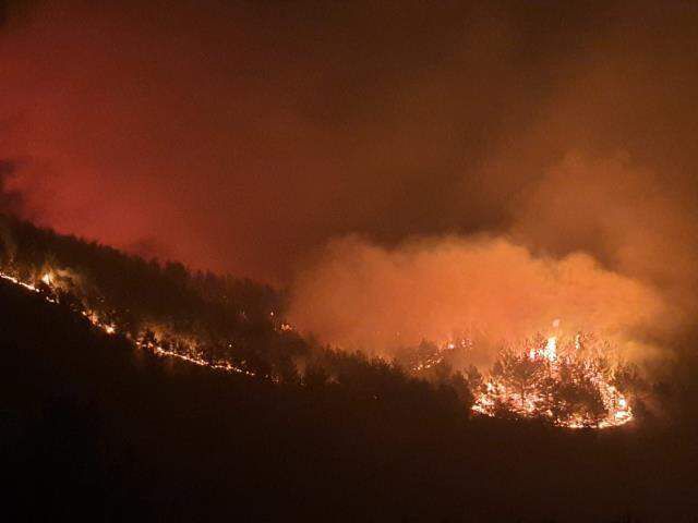 Kabus günleri akla geldi! Hatay Antakya ve Hassa'da çıkan orman yangınına müdahale sürüyor