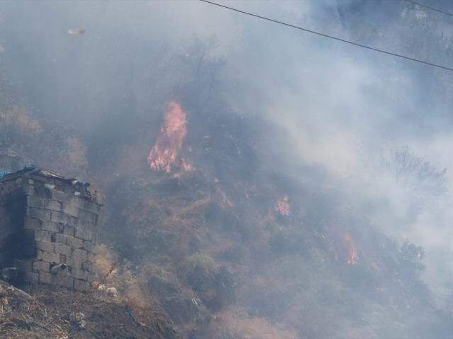 Bir yangın da Hatay'da! Bazı evler tahliye edildi, ekipler alevlere müdahale ediyor