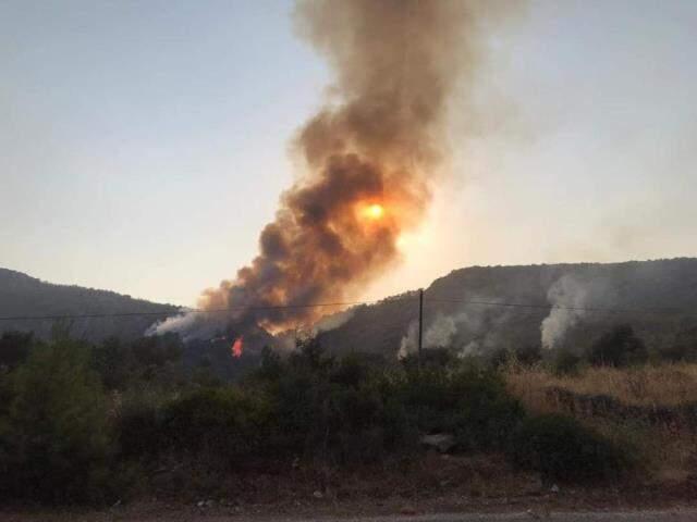 Yangınların kontrol altına alındığı Milas'tan üzen haber! Alevler yeniden yükseldi