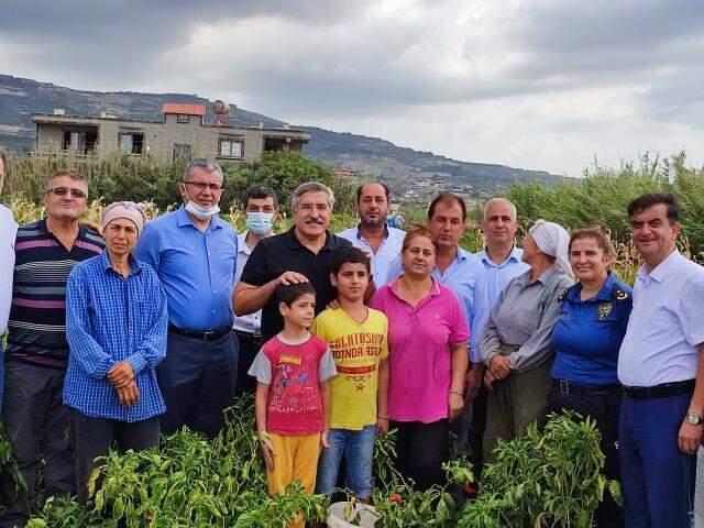 Hem lif deposu hem kilo verdiriyor! Meşhur Samandağ biberinin hasadı yapıldı