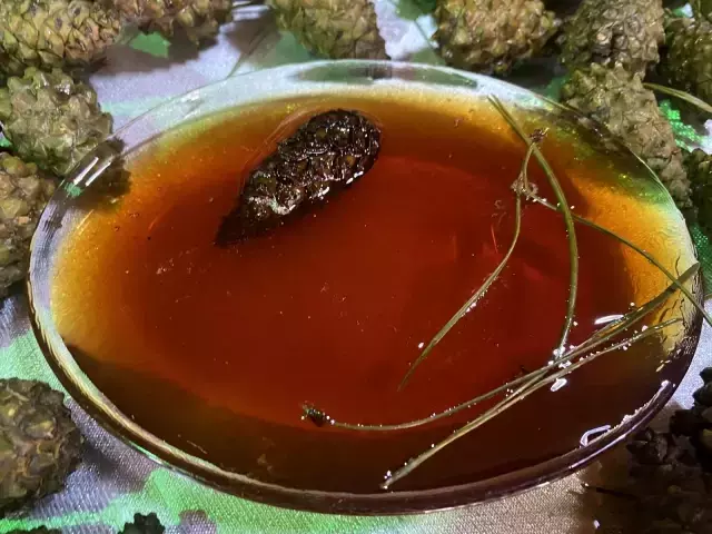 KOAH hastası eşi için ürettiği kozalak pekmezinde siparişlere yetişemiyor