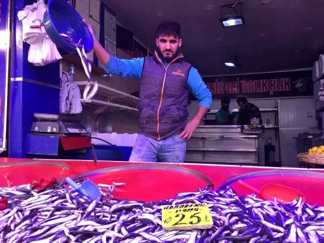 40 TL'den 25 TL'ye indi! Hamsinin fiyatı düşmeye devam ediyor