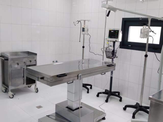 Fatih Belediyesi, Sokak Hayvanları Tedavi Merkezi'ni yarın hizmete açıyor