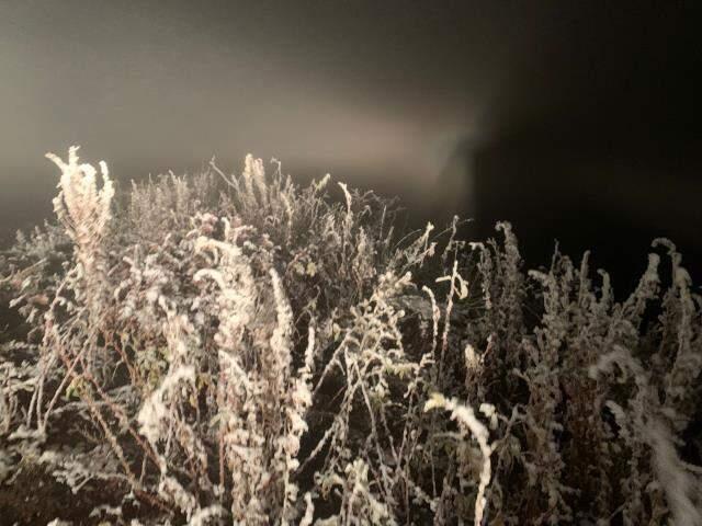 Kış, soğuk yüzünü şimdiden gösterdi! Mevsimin ilk karı Sarıkamış'a düştü, ilçe beyaza büründü