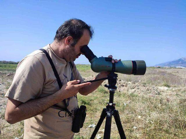 Kara Taşkuşu, Türkiye'de ilk defa Hatay'da görüldü