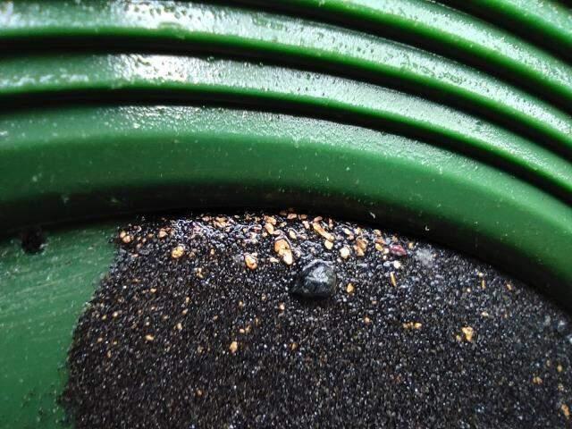 Bir günde 15 gram bulan var! Uludağ'dan akan derelerde altın arıyorlar