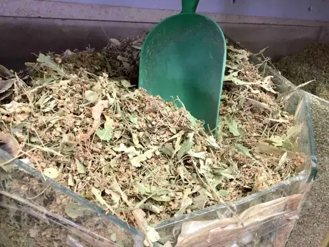 Ihlamur 'yeşil altın' olma yolunda ilerliyor: Kilosu 400 lira