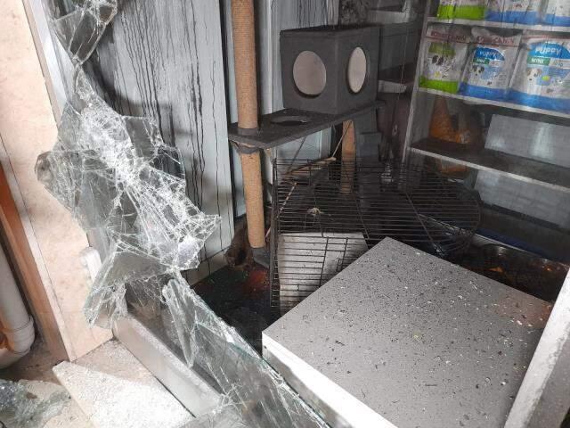 Kahreden olay! Pet Shop'taki yangında onlarca hayvan diri diri yanarak can verdi