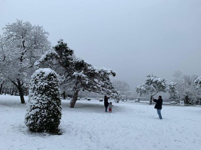 Türkiye kara teslim! Görüş mesafesinin 4 metreye düştüğü Erciyes'te kazalar kaçınılmaz oldu