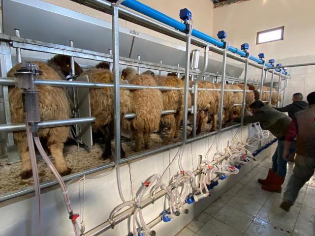 Yetkililer yolu kapattı, yatırımcı neye uğradığını şaşırdı! 4 milyonluk tesis çöp olmak üzere