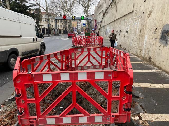 AK Partili Cahit Altunay'dan İBB'ye tepki: Tedavisi mümkün olan 112'i ağacı kestiler