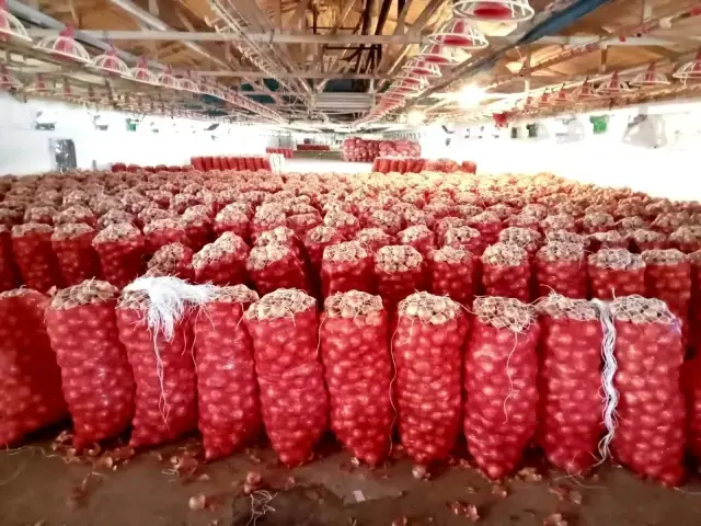 Üreticilerin elinde kalan soğanlar depolarda çürüyor