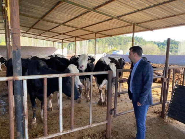 Süt ve süt ürünlerine zam iddiası: En az yüzde 40 artış olacak