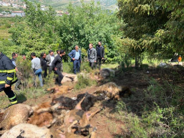Çoban kafasını gökyüzüne kaldırınca dehşete düştü! Kaşla göz arasında tüm koyun sürüsü küle döndü
