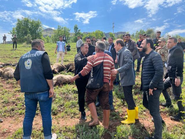 Çoban kafasını gökyüzüne kaldırınca dehşete düştü! Kaşla göz arasında tüm koyun sürüsü küle döndü