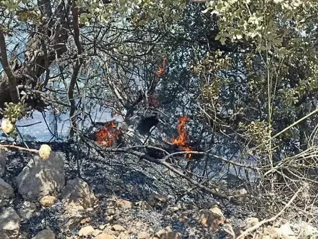 Havalar ısındı, kabus yeniden başladı! Bodrum'daki yangına acilen müdahale edildi